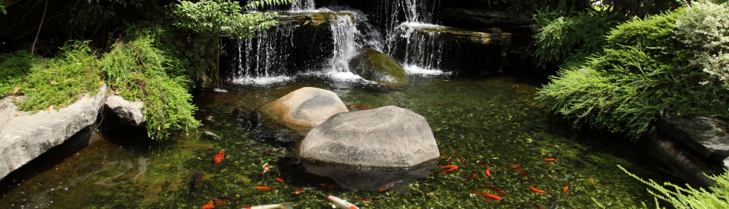 Clear pond with no blanketweed